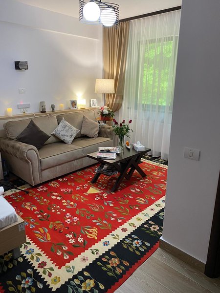 Casa de Vis pentru Seniori - Pitesti